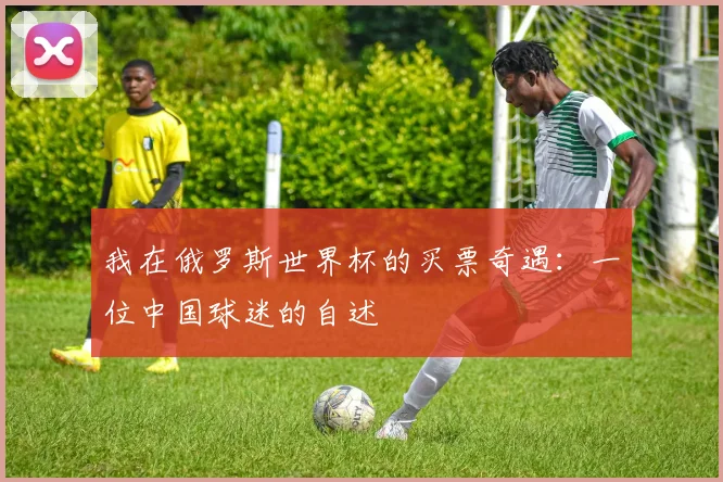 我在俄罗斯世界杯的买票奇遇：一位中国球迷的自述