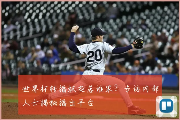 世界杯转播权花落谁家?专访内部人士揭秘播出平台