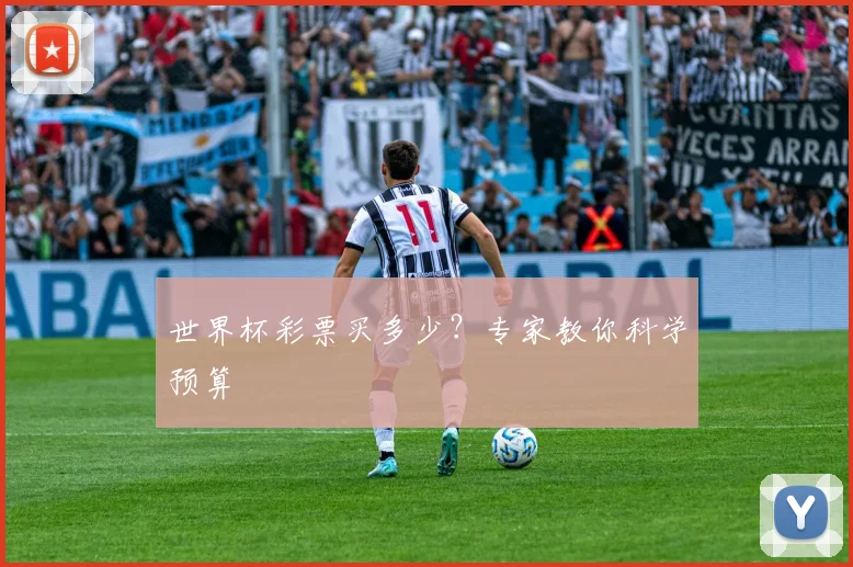 世界杯彩票买多少?专家教你科学预算