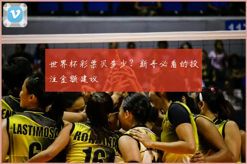 世界杯彩票买多少?新手必看的投注金额建议