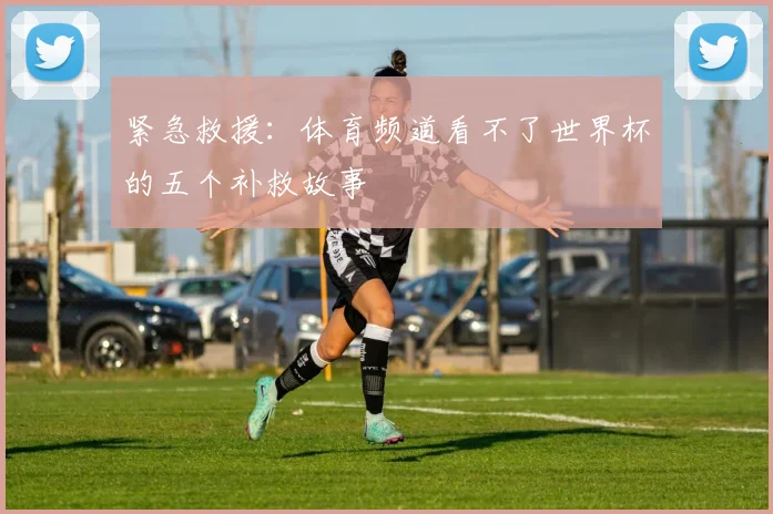 紧急救援：体育频道看不了世界杯的五个补救故事