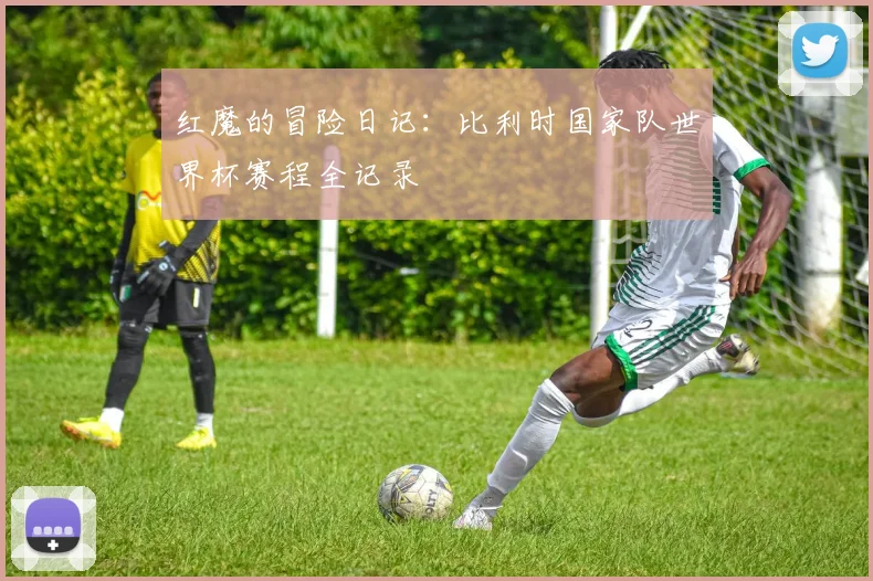 红魔的冒险日记：比利时国家队世界杯赛程全记录