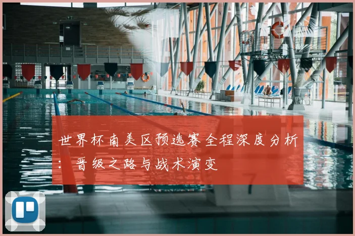世界杯南美区预选赛全程深度分析:晋级之路与战术演变