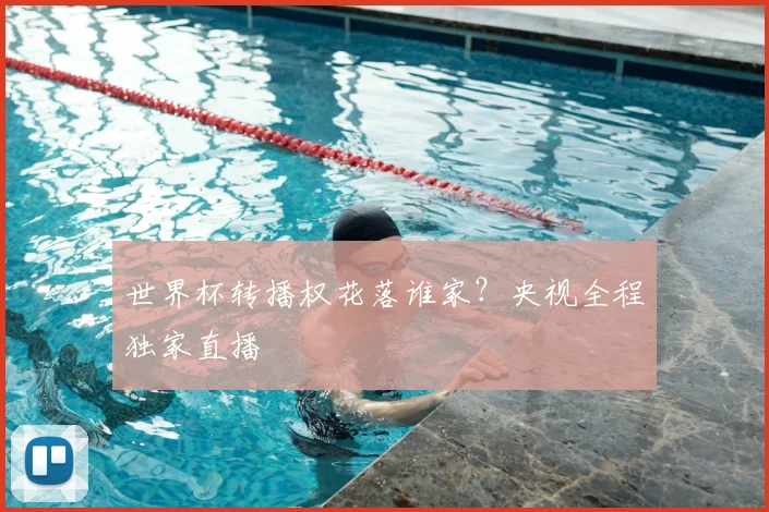 世界杯转播权花落谁家？央视全程独家直播