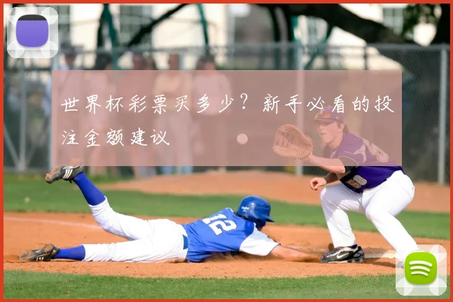 世界杯彩票买多少?新手必看的投注金额建议