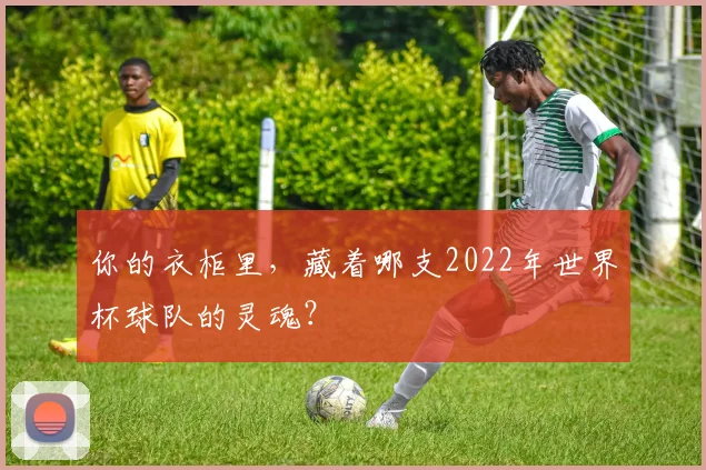 你的衣柜里，藏着哪支2022年世界杯球队的灵魂？