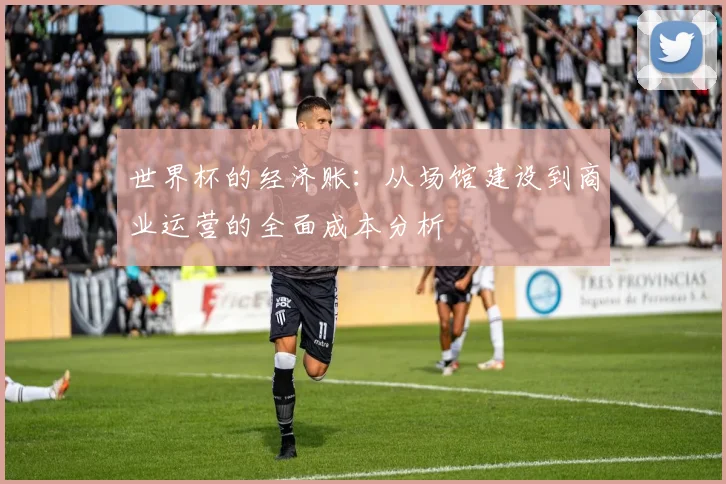世界杯的经济账：从场馆建设到商业运营的全面成本分析