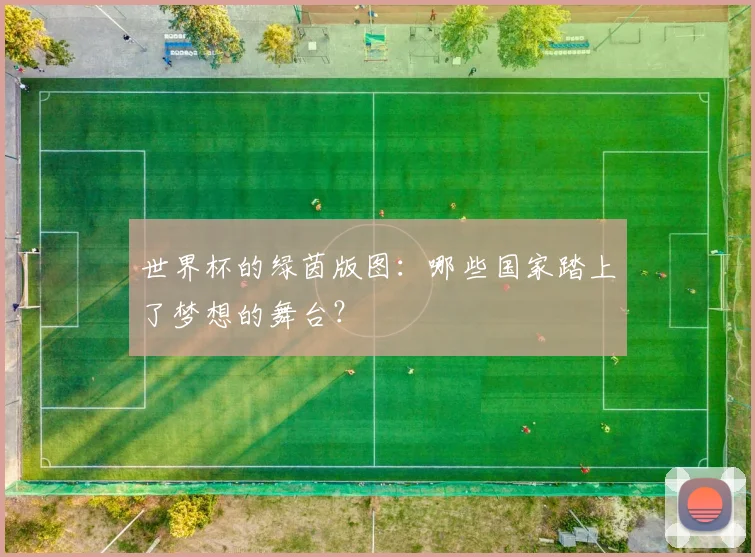 世界杯的绿茵版图：哪些国家踏上了梦想的舞台？