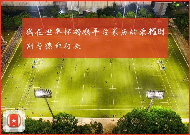 我在世界杯游戏平台亲历的荣耀时刻与热血对决