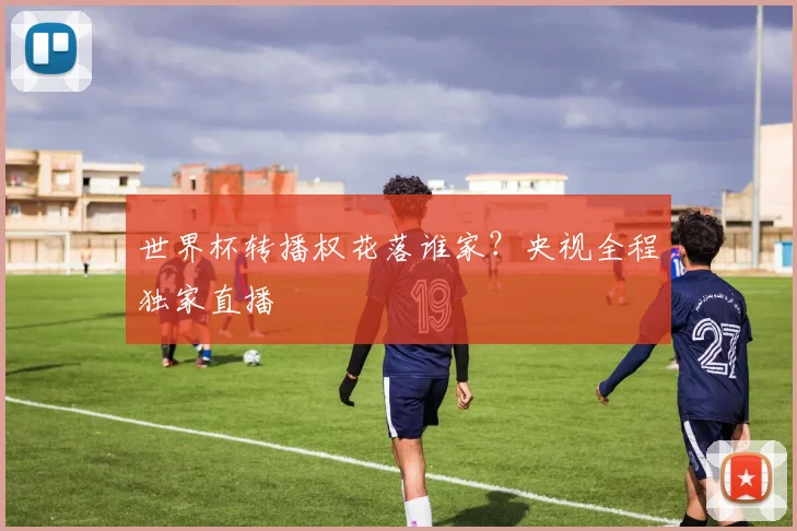 世界杯转播权花落谁家？央视全程独家直播