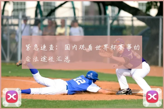 紧急速查：国内观看世界杯赛事的合法途径汇总