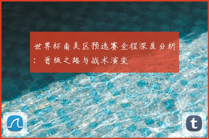 世界杯南美区预选赛全程深度分析:晋级之路与战术演变